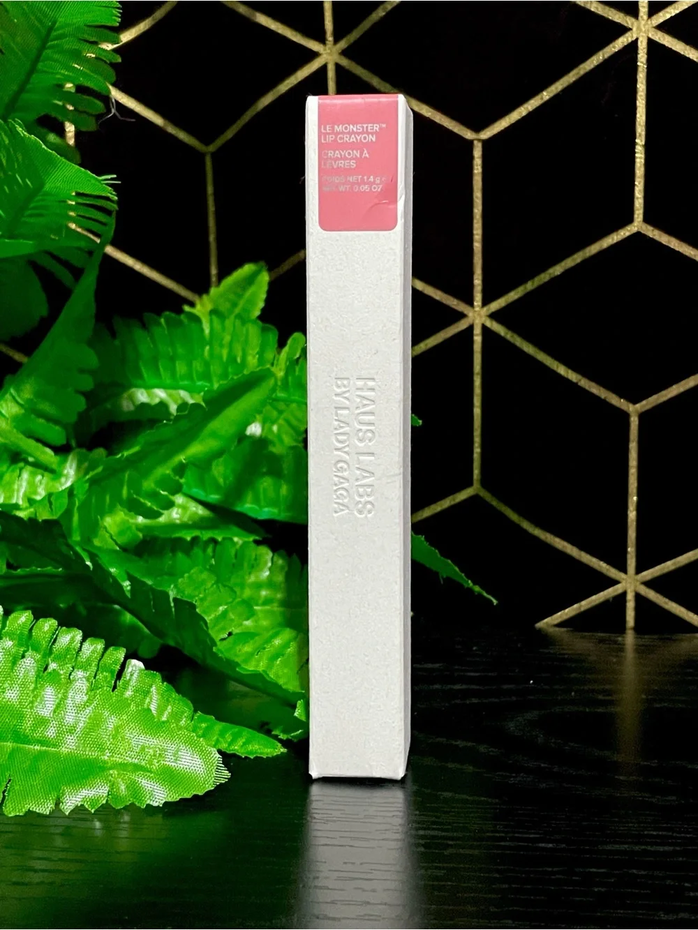 Haus Labs By Lady Gaga Lip Crayon — Light Peony Matte